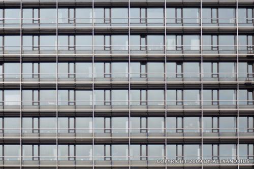 70 mm [105 mm @ KB] - ISO 200 - f/4,0 - 1/2500 s